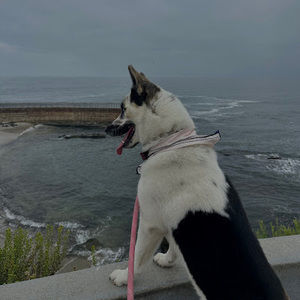 Meet your Posher, Rosalia